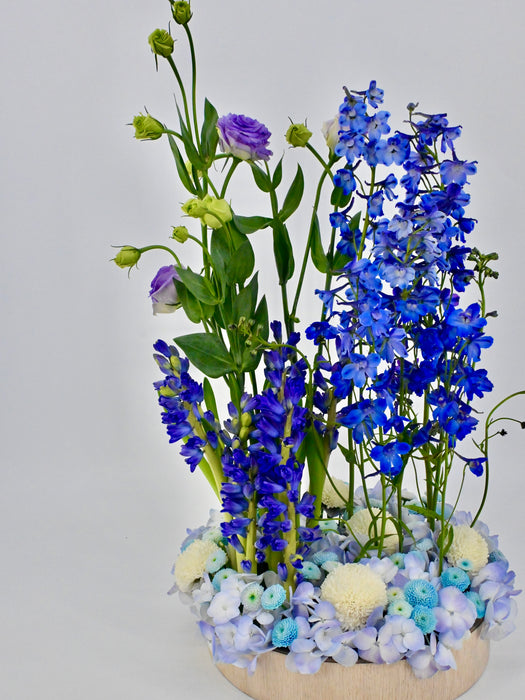 Hyacinth Manhattan