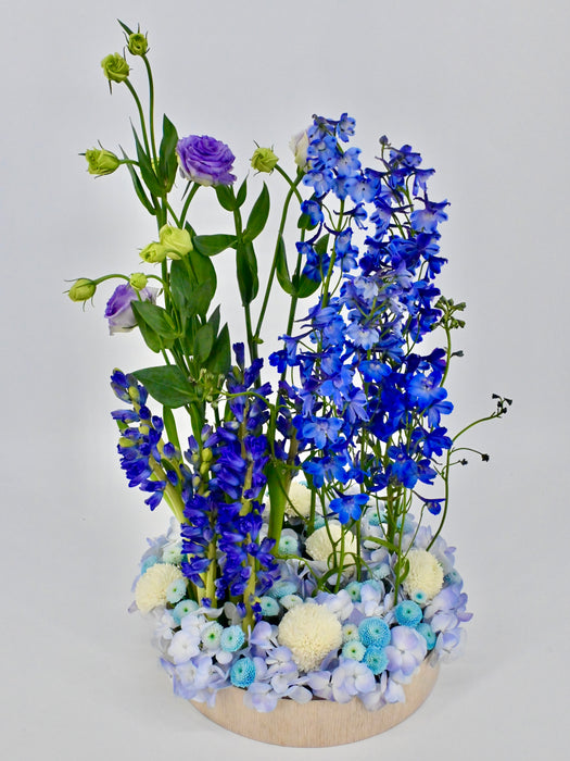 Hyacinth Manhattan