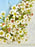 Baby Boy Money Arrangement in Acrylic muse box