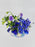 Hyacinth Manhattan