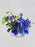 Hyacinth Manhattan