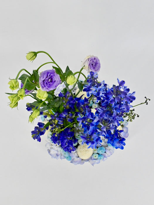 Hyacinth Manhattan