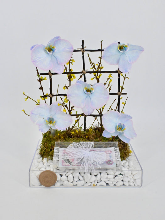 Turquoise Money Arrangement