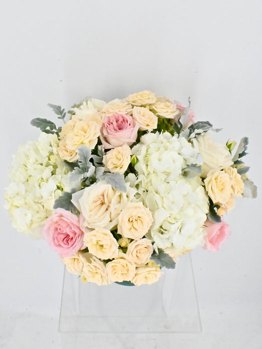 Pastel Garden Beauty