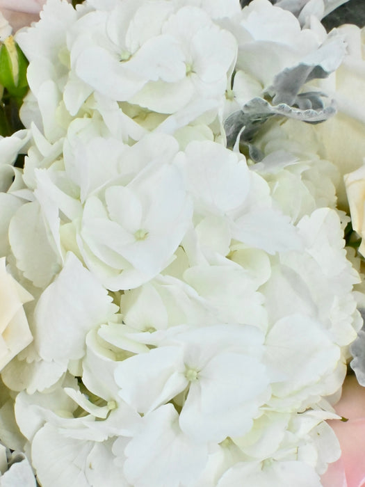 Pastel Garden Beauty