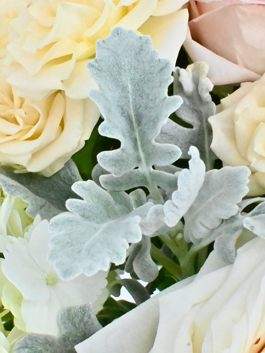 Pastel Garden Beauty