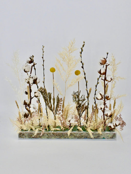 Preserved Flowers