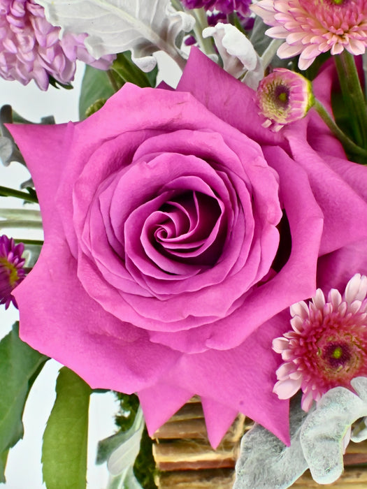 Kendall Money Garden