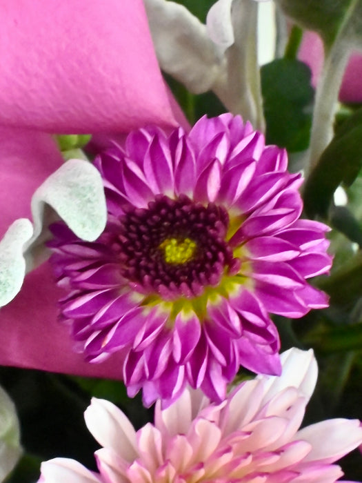 Kendall Money Garden