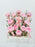 O'hara Pink Money Garden
