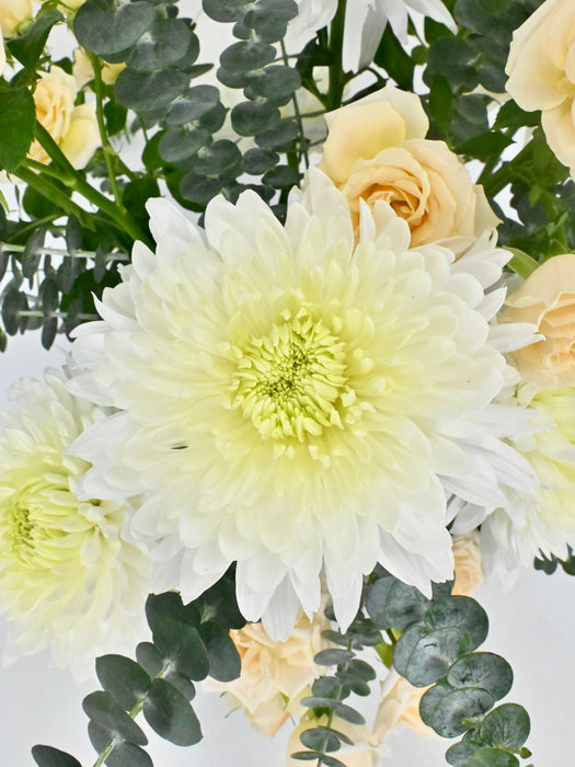 Magnum Garden