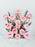 O'hara Pink Money Garden