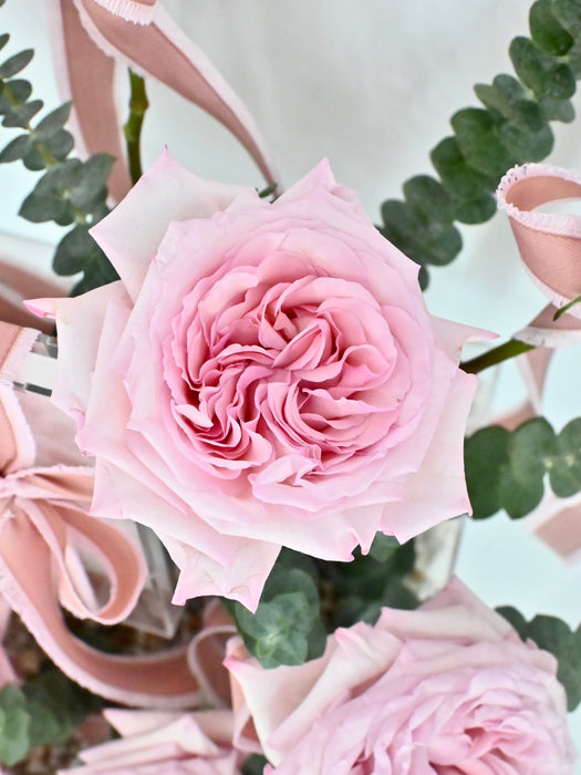 O'hara Pink Money Garden