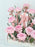 O'hara Pink Money Garden