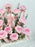 O'hara Pink Money Garden