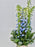 Delphy Guardian Garden