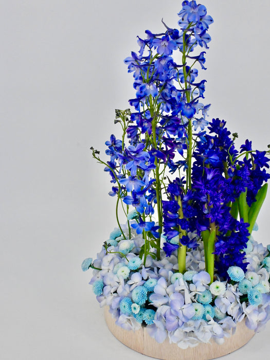 Bluish Garden