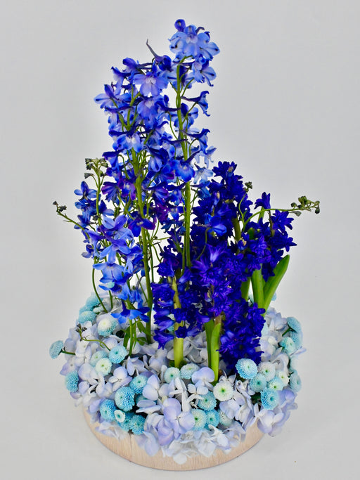 Bluish Garden