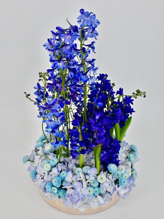 Bluish Garden