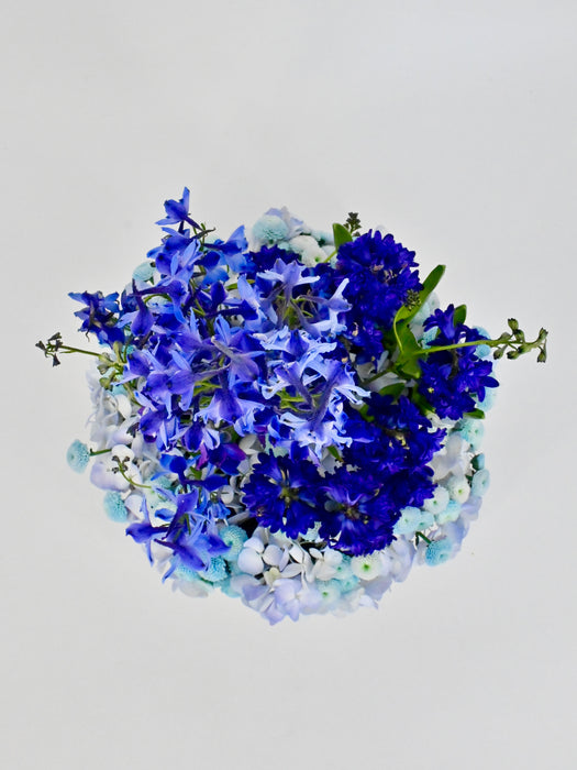 Bluish Garden