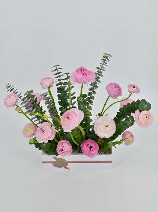 Ranunculus Garden