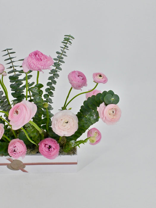 Ranunculus Garden