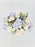Vervain