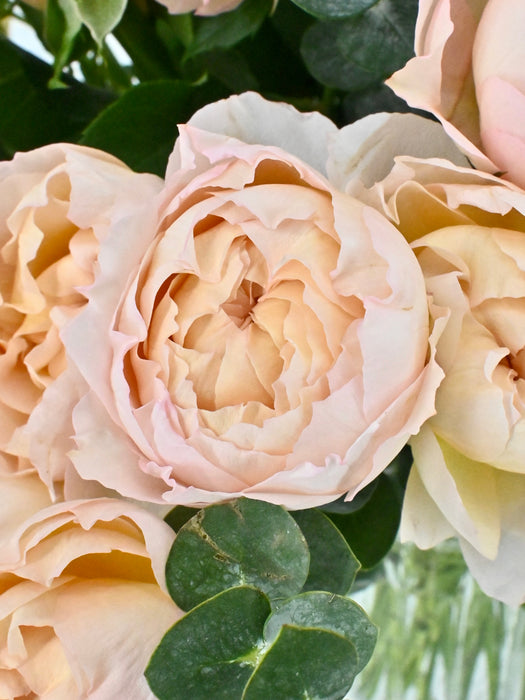Royal Peach