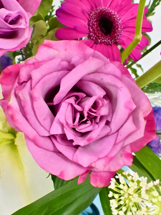 Blooming Mojo Cerise