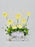 Ranunculus Money Arrangement