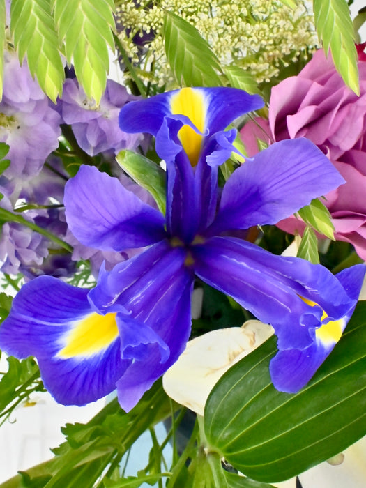 Blooming Mojo Cerise