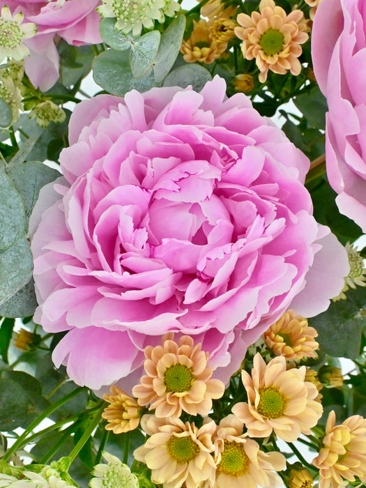 Sarah Bernhardt