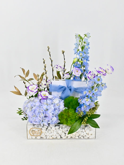 Eustoma Money Garden