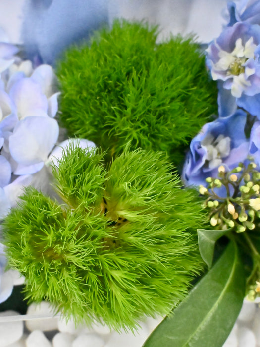 Eustoma Money Garden