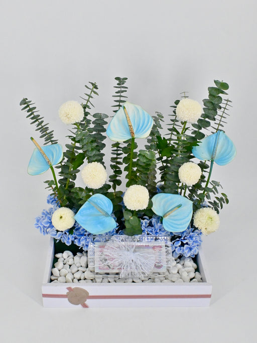 Anthu Money Arrangement