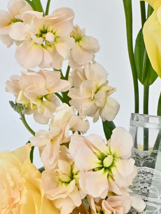 Champagne Garden Money Arrangement