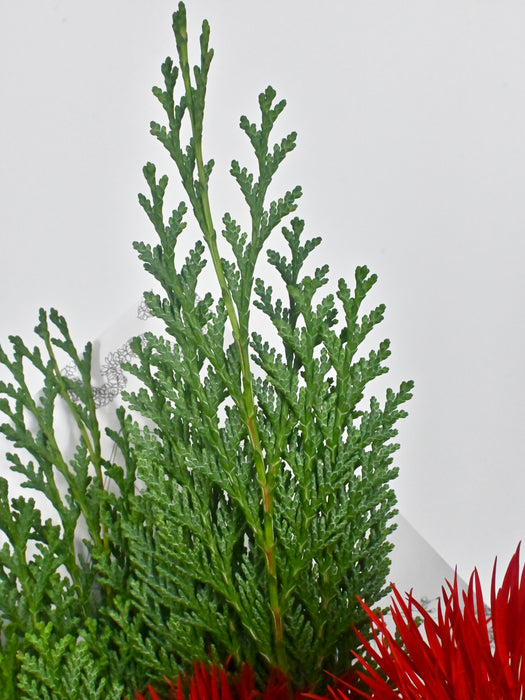 Frilly Winter Bouquet