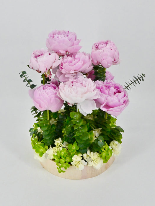 Peonies Garden