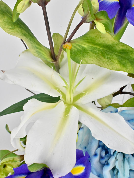 Elegant Blue & White Floral Money Gift