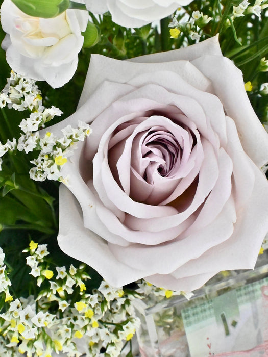 Lavender Money Arrangement