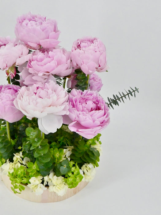 Peonies Garden