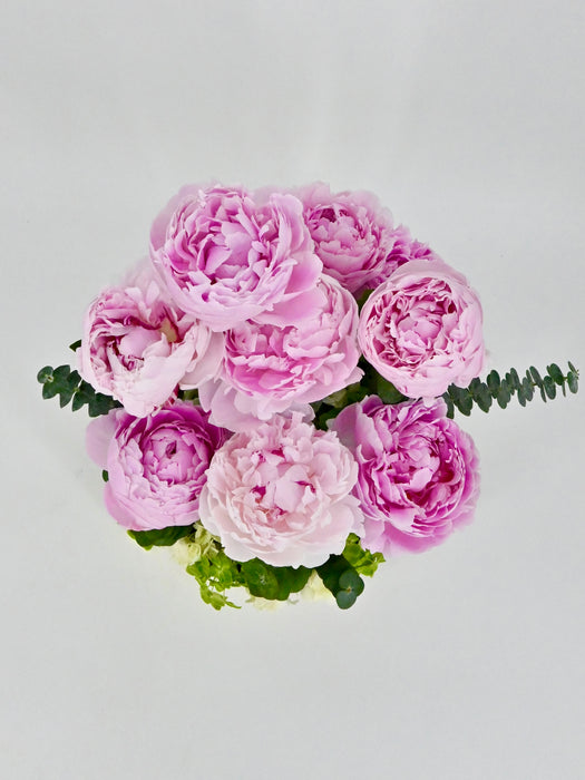 Peonies Garden