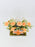 Verbena Money Arrangement