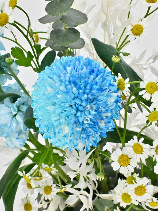 Baby Boy Money Arrangement