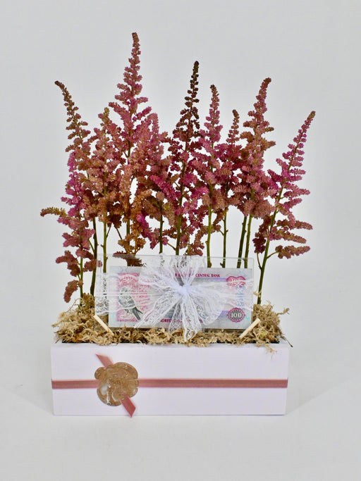 Astilbe Money Arrangement