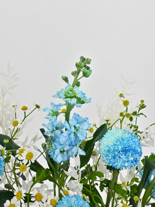 Baby Boy Money Arrangement