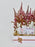 Astilbe Money Arrangement
