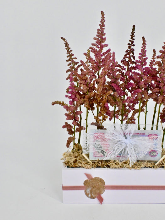 Astilbe Money Arrangement