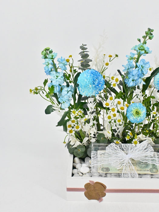 Baby Boy Money Arrangement
