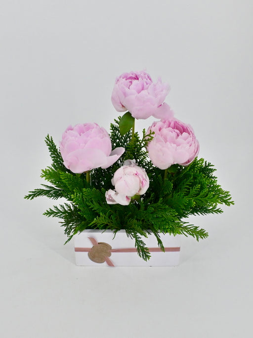 Princess Peony